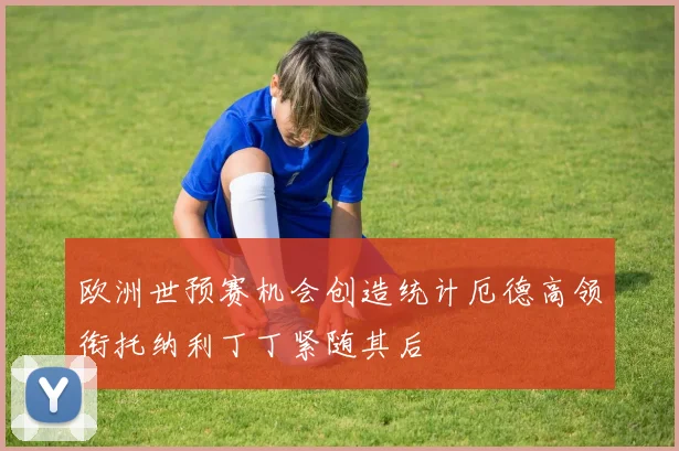 欧洲世预赛机会创造统计厄德高领衔托纳利丁丁紧随其后