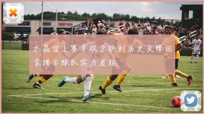水晶宫上赛季双杀热刺历史交锋记录揭示球队实力差距