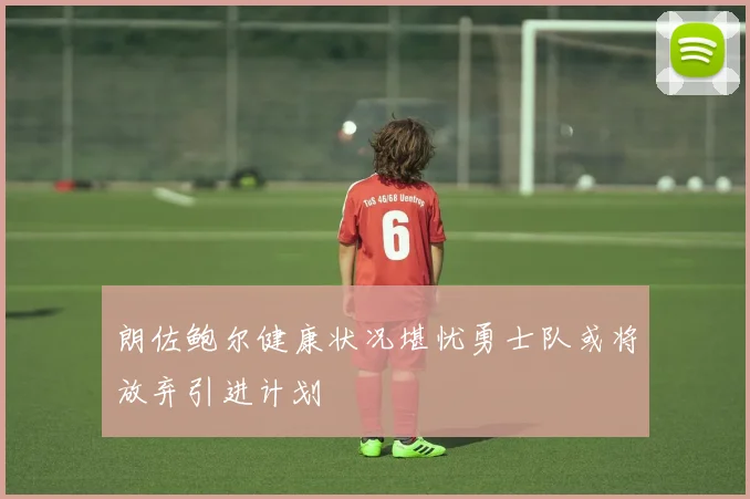 朗佐鲍尔健康状况堪忧勇士队或将放弃引进计划