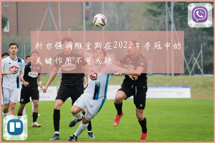 科尔强调维金斯在2022年夺冠中的关键作用不可或缺