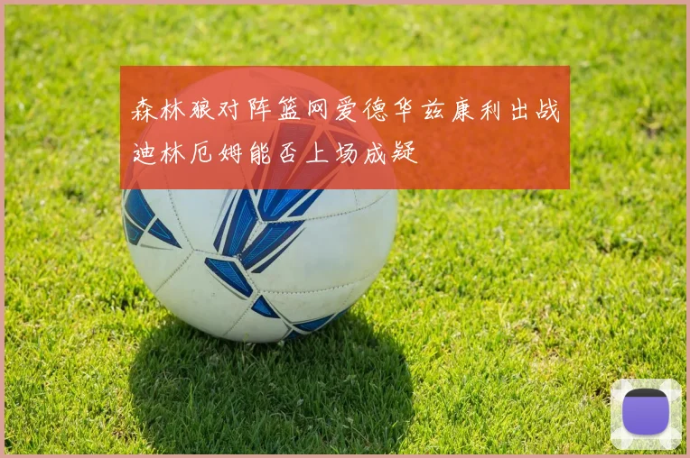 森林狼对阵篮网爱德华兹康利出战迪林厄姆能否上场成疑
